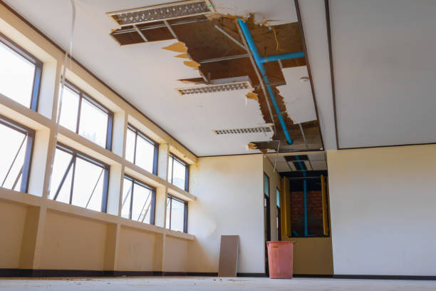 Best Water damage restoration cost  in Stockbridge, GA
