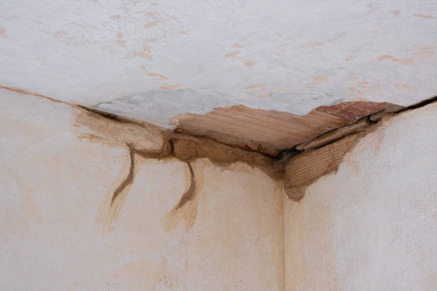 Best Ceiling water damage repair  in Stockbridge, GA