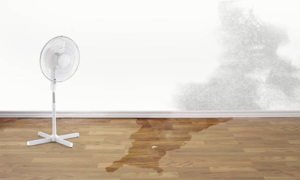 Best Professional water damage repair  in Stockbridge, GA